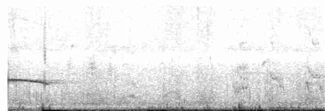 Plaintive/Gray-bellied Cuckoo - ML352852211