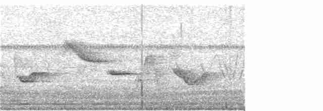 Oriole des vergers - ML352854101