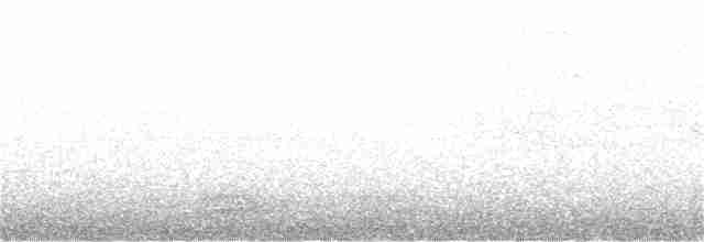 Paruline à gorge noire - ML352857771