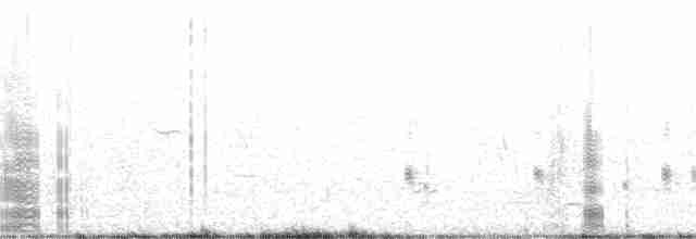 chřástal virginský (ssp. limicola/friedmanni) - ML352861021