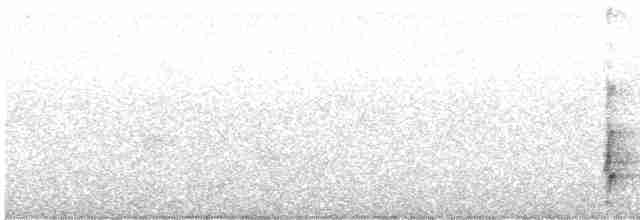 Прерийный кроншнеп - ML352876131