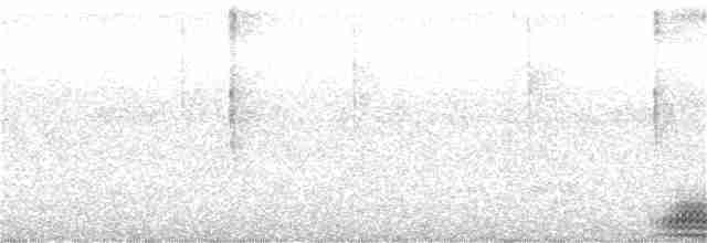 Sharp-tailed Grouse - ML352876391
