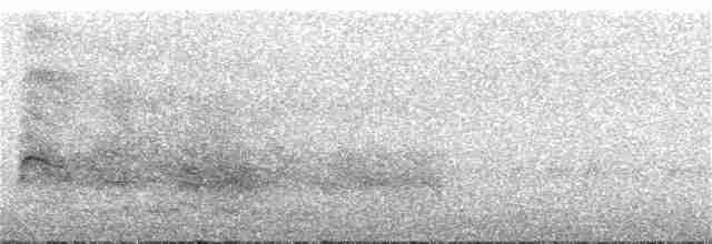 Канюк неоарктичний (підвид jamaicensis) - ML352881401