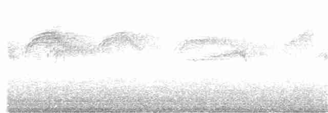 ヨーロッパアマツバメ - ML352899861