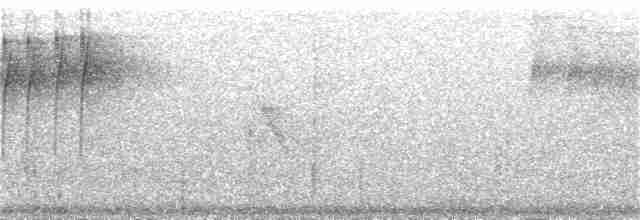Piranga érythrocéphale - ML352935451