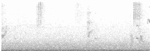 kolibřík lesklobřichý - ML352951851