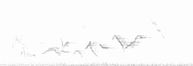 Дрізд-короткодзьоб Cвенсона - ML353092961