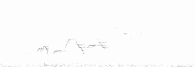 Дрізд-короткодзьоб Cвенсона - ML353093001