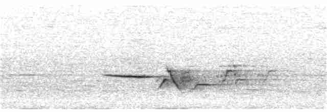 Дрізд-короткодзьоб плямистоволий - ML353099701
