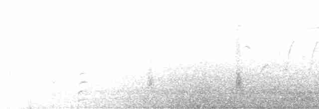 Common Gallinule - ML353113221