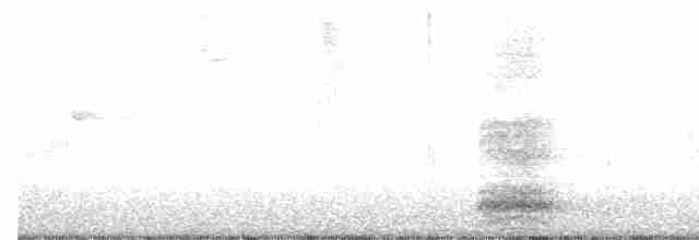 Snowy Egret - ML353187171