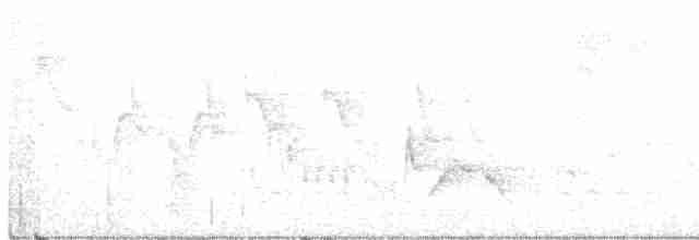 White-eyed Vireo - ML353231471