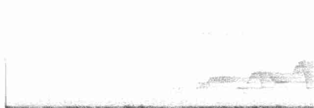 Дрізд-короткодзьоб Cвенсона - ML353248391