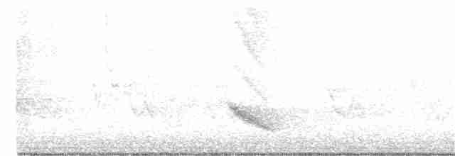 Дрізд-короткодзьоб бурий - ML353262301