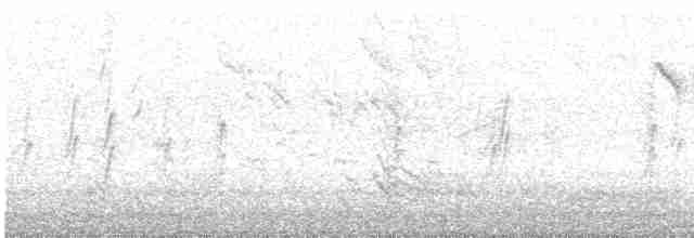 Barn Swallow (White-bellied) - ML353272761