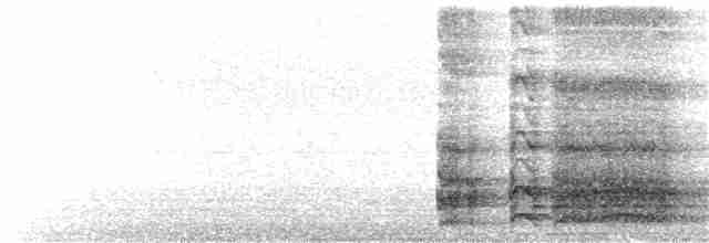 Банкивский петух (Одомашенного вида) - ML353291191