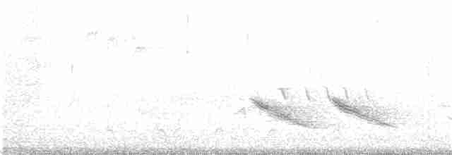 Дрізд-короткодзьоб бурий - ML353300271