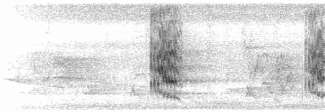 Kara Yanaklı Saksağan Kargası - ML353313641