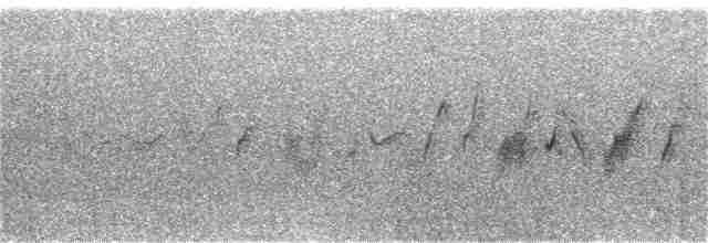 Plectrophane de Smith - ML353390901
