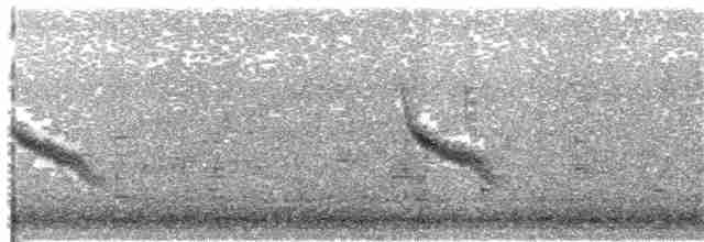 Vireo de Hutton - ML353560091