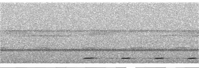 Сичик-горобець світлоголовий - ML353576761