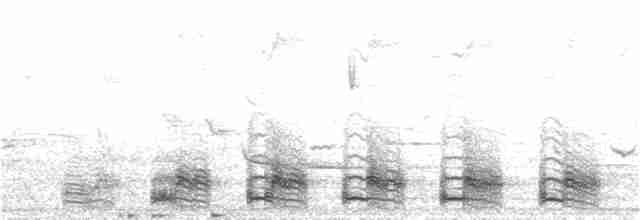 trogon krásný [skupina ambiguus] - ML353576921