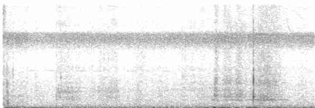 Талпакоті сірий - ML353620491