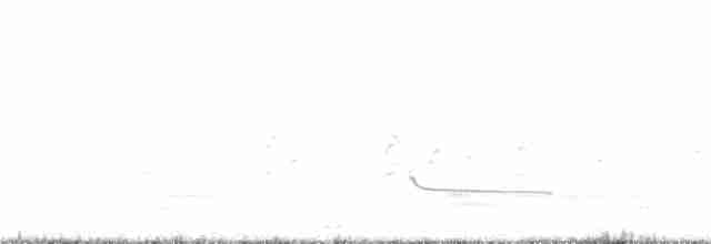 Common Redshank - ML353630891