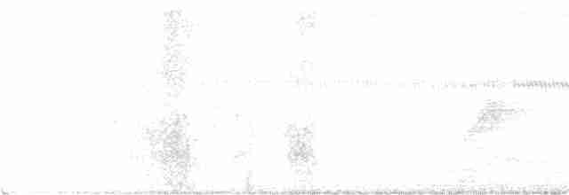 Каролинский крапивник - ML353643781