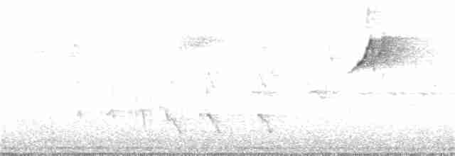 Медолюб-шилодзьоб східний - ML353647811