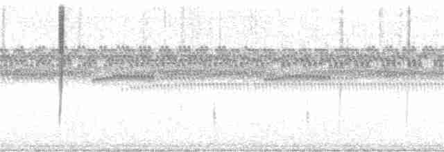 White-tailed Goldenthroat - ML353664301