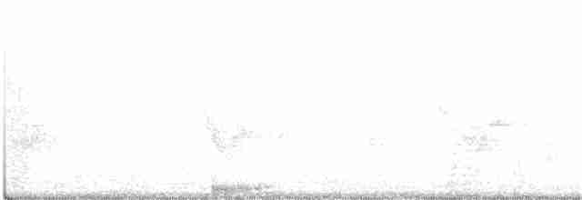 Малая воробьиная овсянка - ML353761411