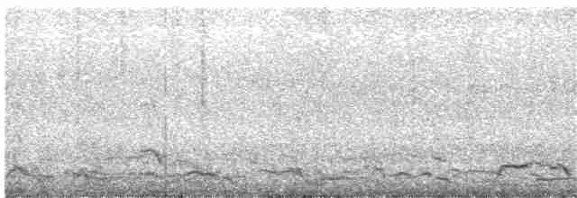 kormorán modrohrdlý - ML353808181