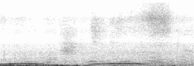 holub skvrnokřídlý - ML353821071