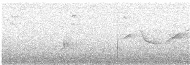 Gözlüklü Drongo Sinekkapanı - ML353878221