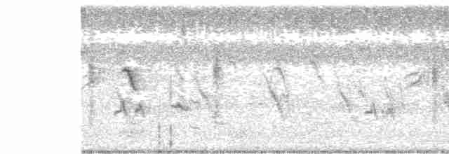 Сибирский черноголовый чекан - ML353926191