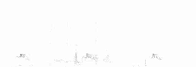 Tinamou à tête rousse - ML353931331