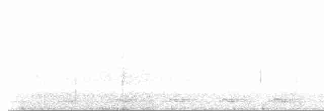 Black-tailed Trogon - ML354074371