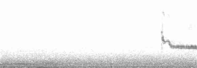 Kaya Çıtkuşu - ML354108081