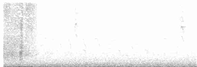 Perruche terrestre - ML354123121
