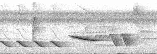 Bluish-gray Saltator - ML35414
