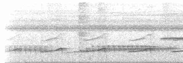 Лінивка плямистогруда - ML354163801