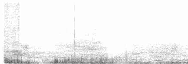 Бурый пеликан - ML354365141