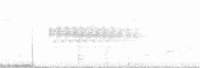 Юнко сірий [група oreganus] - ML354479981