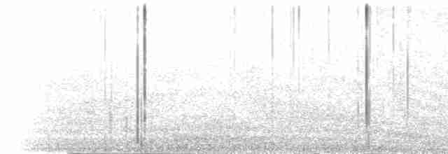 Black-naped Tern - ML354489141