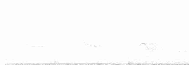 Hooded Warbler - ML354502621