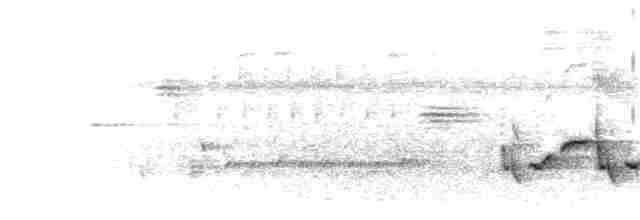 Каролинский крапивник - ML354605811