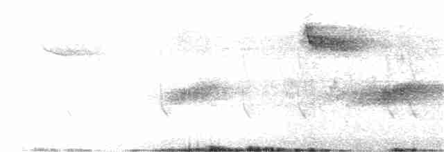 Тауї плямистий (підвид macronyx) - ML354693191