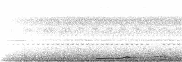 Сова-голконіг далекосхідна - ML354721131