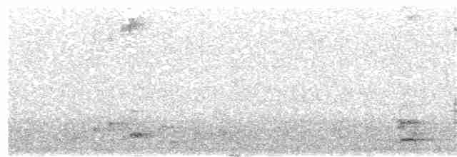 白腰叉尾海燕 - ML354767571